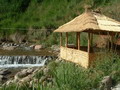 Bogi Shamol Resort in Tashkent